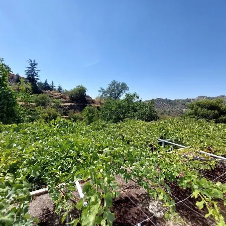 Agros Valley * Lemesos